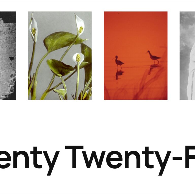 Introducing the New twenty twenty-five WordPress Theme